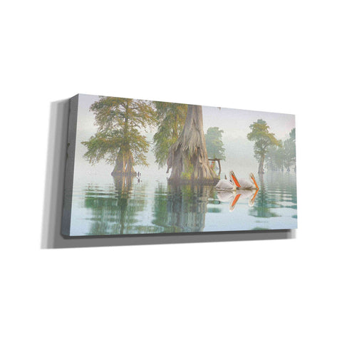 Image of 'Still Waters' by Steve Hunziker, Canvas Wall Art