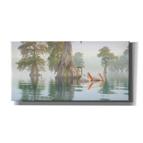 Image of 'Still Waters' by Steve Hunziker, Canvas Wall Art