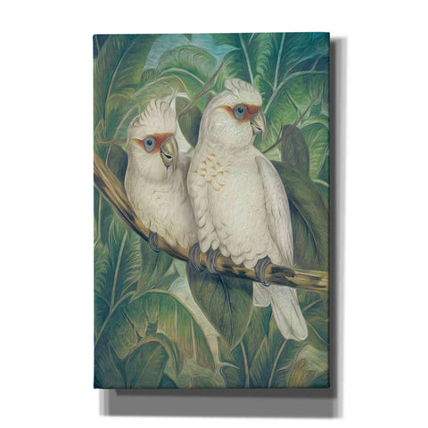 Image of 'Painted Plumage Three' by Steve Hunziker, Canvas Wall Art