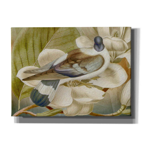 Image of 'Painted Plumage One' by Steve Hunziker, Canvas Wall Art