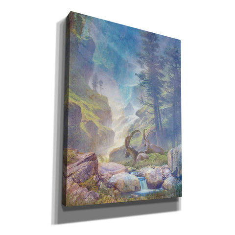 Image of 'Bighorn Falls' by Steve Hunziker, Canvas Wall Art