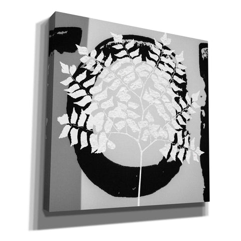 Image of 'Chalk Leaf 1' by Karen Smith, Canvas Wall Art