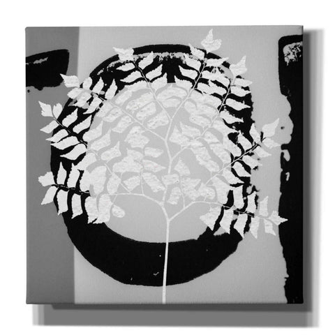 Image of 'Chalk Leaf 1' by Karen Smith, Canvas Wall Art