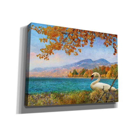 Image of 'Swan by Lac Leman' by Chris Vest, Canvas Wall Art
