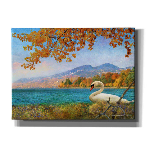 Image of 'Swan by Lac Leman' by Chris Vest, Canvas Wall Art