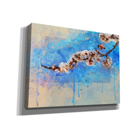 Image of 'Apricot Blossom' by Chris Vest, Canvas Wall Art