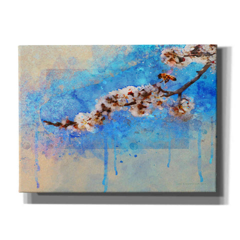 Image of 'Apricot Blossom' by Chris Vest, Canvas Wall Art