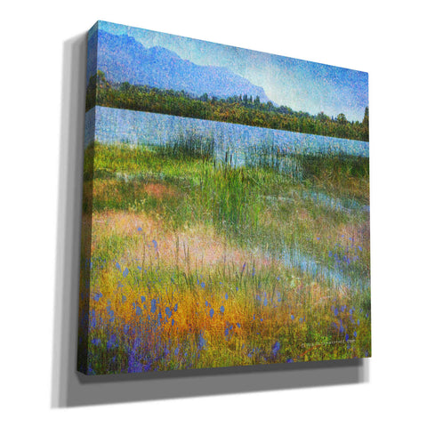 Image of 'Lake Near Mesa Verde' by Chris Vest, Canvas Wall Art