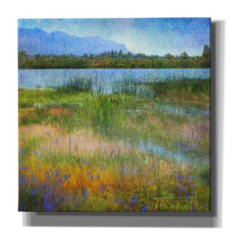 Image of 'Lake Near Mesa Verde' by Chris Vest, Canvas Wall Art