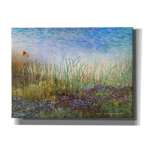 Image of 'Meadow with Butterfly' by Chris Vest, Canvas Wall Art