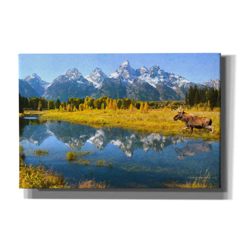 Image of 'Grand Teton Reflections Moose' by Chris Vest, Canvas Wall Art