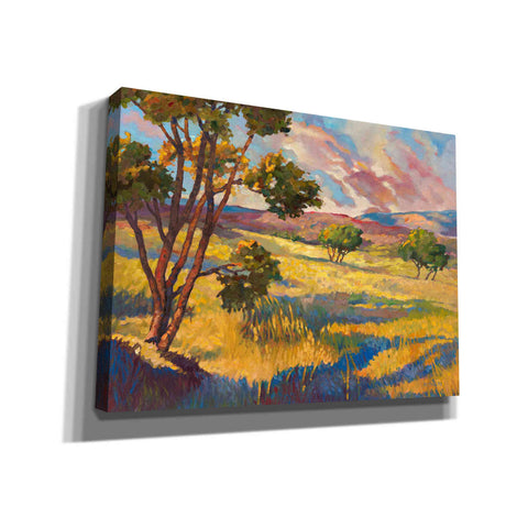 Image of 'Wide horizons 2' by Graham Reynolds, Canvas Wall Art