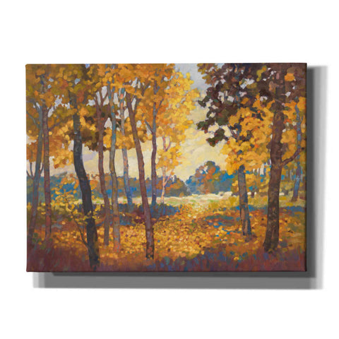 Image of 'Windstill 1' by Graham Reynolds, Canvas Wall Art