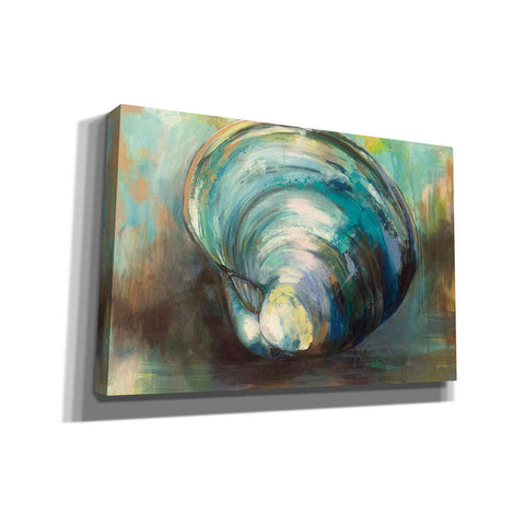 Image of 'Solo Quahog' by Jeanette Vertentes, Canvas Wall Art