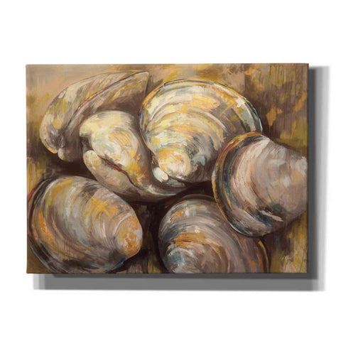 Image of 'The Gang of Quahogs' by Jeanette Vertentes, Canvas Wall Art
