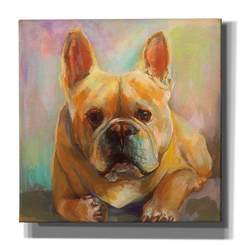 Image of 'Frenchie' by Jeanette Vertentes, Canvas Wall Art