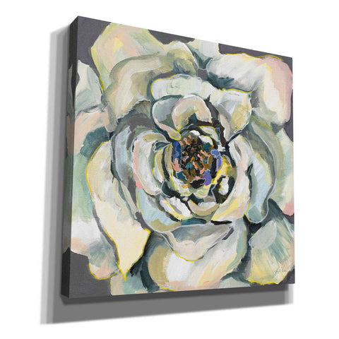 Image of 'Bloom I' by Jeanette Vertentes, Canvas Wall Art