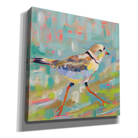 Image of 'Coastal Plover I' by Jeanette Vertentes, Canvas Wall Art