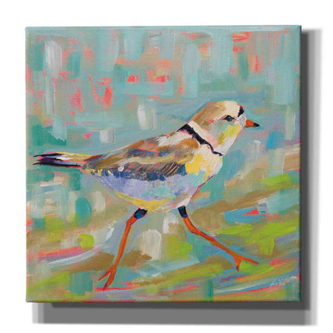 Image of 'Coastal Plover I' by Jeanette Vertentes, Canvas Wall Art
