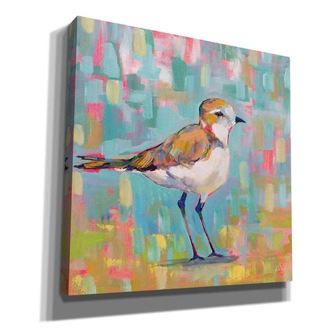 Image of 'Coastal Plover III' by Jeanette Vertentes, Canvas Wall Art