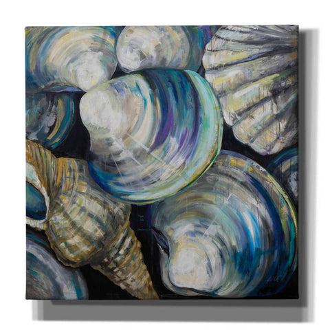 Image of 'Key West Shells' by Jeanette Vertentes, Canvas Wall Art