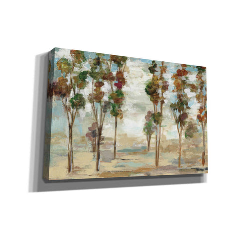 Image of 'Serene Forest' by Silvia Vassileva, Canvas Wall Art