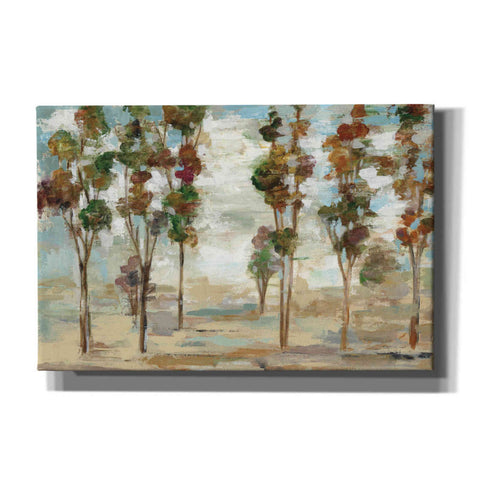 Image of 'Serene Forest' by Silvia Vassileva, Canvas Wall Art