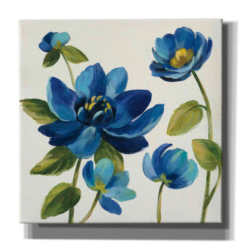 Image of 'Seaside Garden I' by Silvia Vassileva, Canvas Wall Art