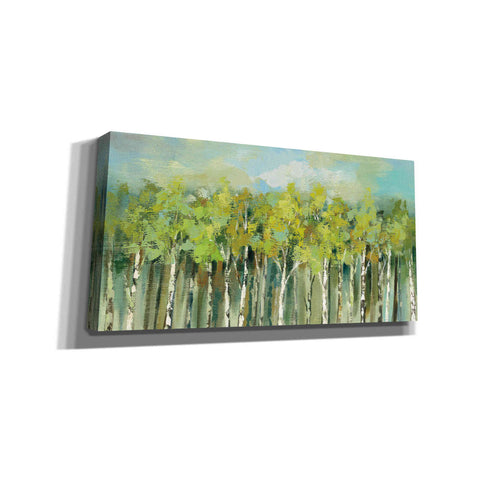 Image of 'April Tree Tops' by Silvia Vassileva, Canvas Wall Art