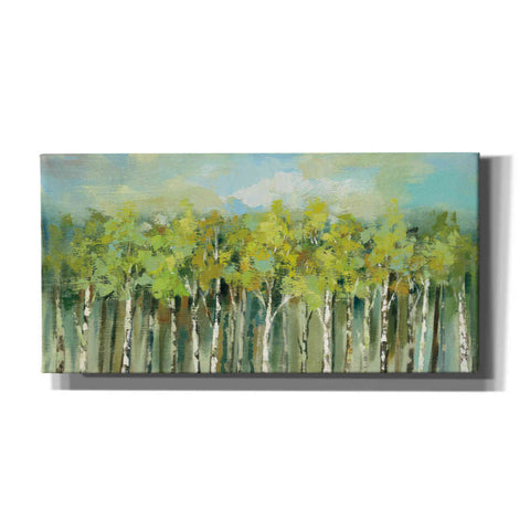 Image of 'April Tree Tops' by Silvia Vassileva, Canvas Wall Art