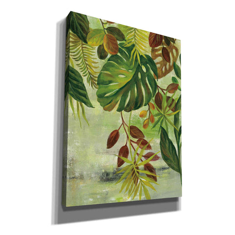 Image of 'Tropical Greenery II' by Silvia Vassileva, Canvas Wall Art
