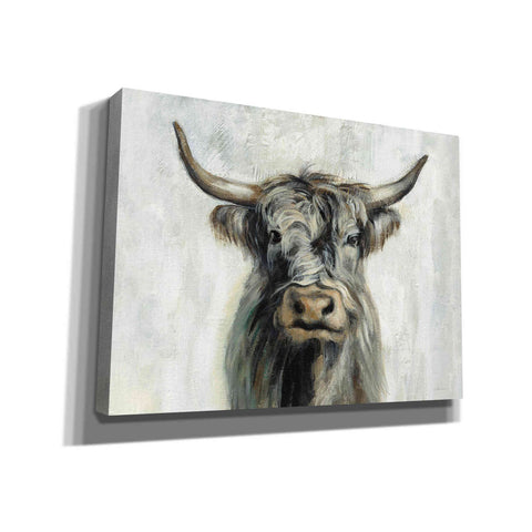Image of 'Highland Cow Horizontal' by Silvia Vassileva, Canvas Wall Art