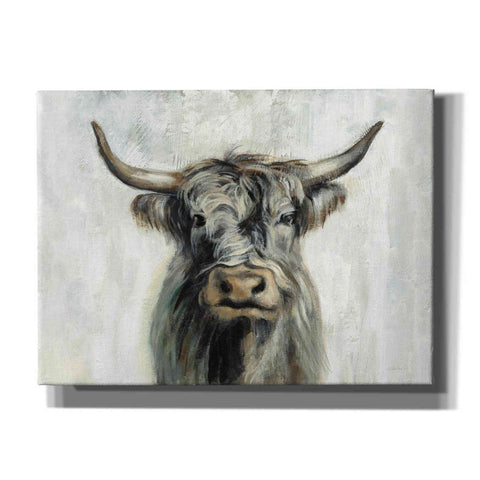 Image of 'Highland Cow Horizontal' by Silvia Vassileva, Canvas Wall Art