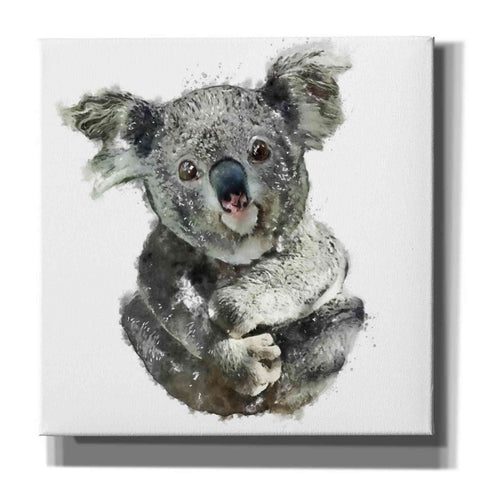 Image of 'Koala Cuddle' by Kim Curinga, Canvas Wall Art