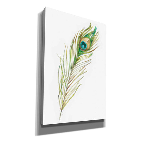 Image of "Watercolor Peacock Feather II" by Ethan Harper, Canvas Wall Art