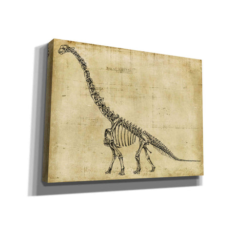 Image of "Brachiosaurus Study" by Ethan Harper, Canvas Wall Art