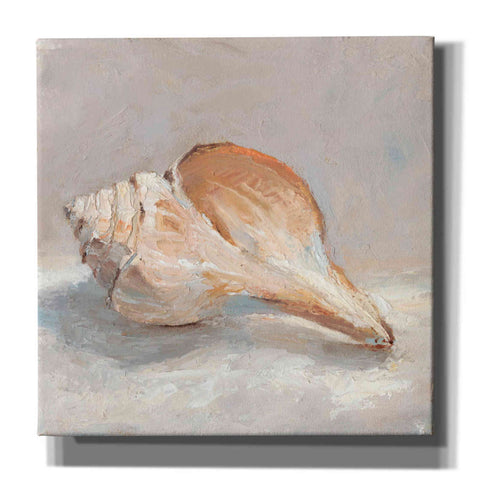 Image of "Impressionist Shell Study III" by Ethan Harper, Canvas Wall Art