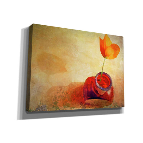Image of "Orange Poppy In Brown Bottle" by Hal Halli, Canvas Wall Art
