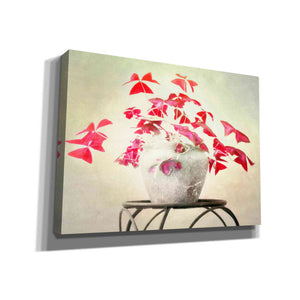 "Butterfly Plant" by Hal Halli, Canvas Wall Art