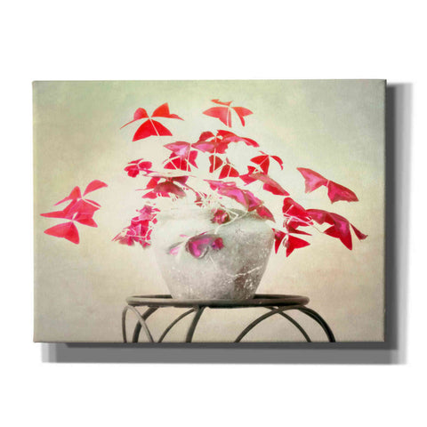 Image of "Butterfly Plant" by Hal Halli, Canvas Wall Art