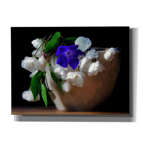Image of "Purple And White Flowers In A Pot" by Hal Halli, Canvas Wall Art
