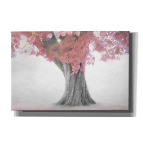 Image of "Treeness In Clamshell" by Hal Halli, Canvas Wall Art