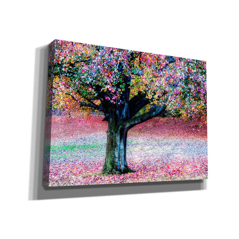 Image of "Autumn Pastel Impression" by Hal Halli, Canvas Wall Art