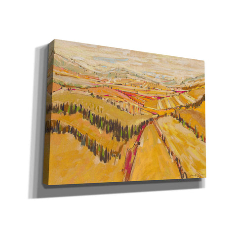 Image of 'Patchwork Hills VIII' by Jennifer Gardner, Canvas Wall Art