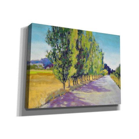 Image of 'Backlit Poplars Provence' by Jennifer Gardner, Canvas Wall Art