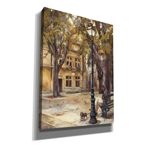 Image of 'Provence Village II' by Marilyn Hageman, Canvas Wall Art
