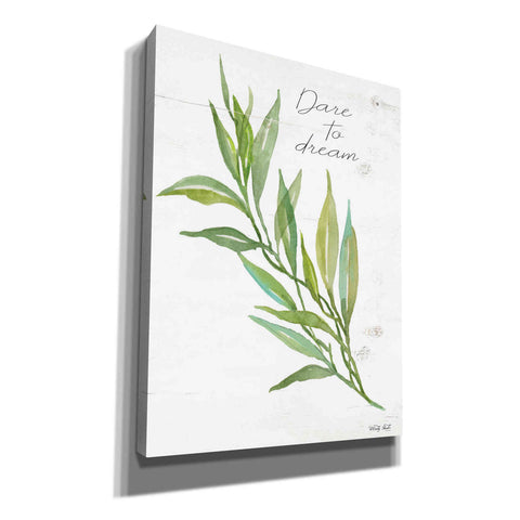 Image of 'Dare to Dream' by Cindy Jacobs, Canvas Wall Art
