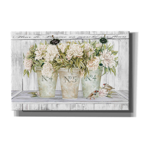 Image of 'French Peonies Still Life II' by Cindy Jacobs, Canvas Wall Art