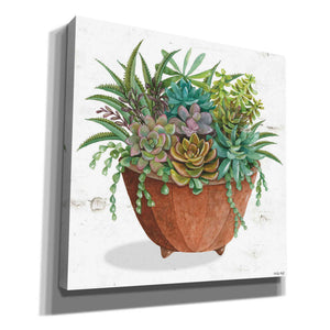 'Terracotta Succulents I' by Cindy Jacobs, Canvas Wall Art