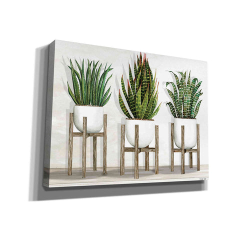 Image of 'White Pots on Stands I' by Cindy Jacobs, Canvas Wall Art